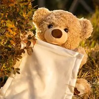 Más que un Peluche, una Experiencia Única con Nuestro Oso Sorpresa