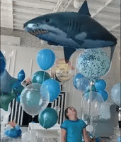 Tiburón Gigante: Tu Compañero de Juegos Acuáticos