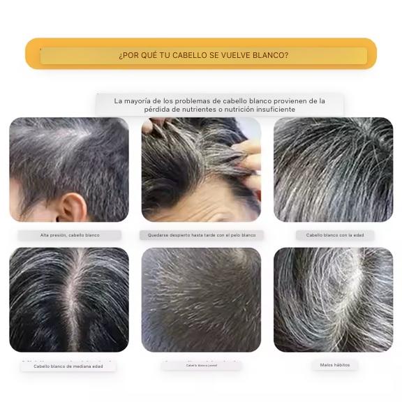 Dile Adiós a las Canas: Descubre el Secreto para un Cabello Joven y Saludable