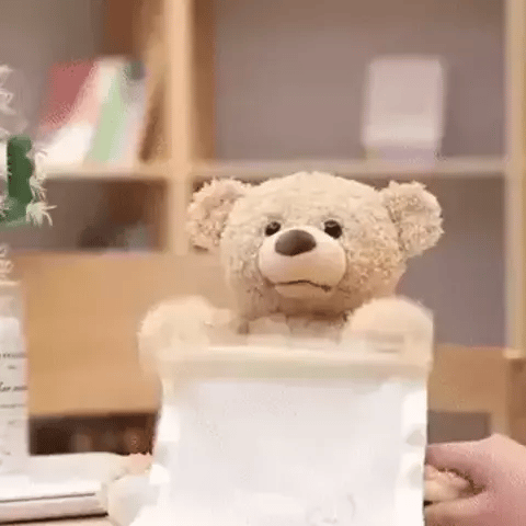 Más que un Peluche, una Experiencia Única con Nuestro Oso Sorpresa