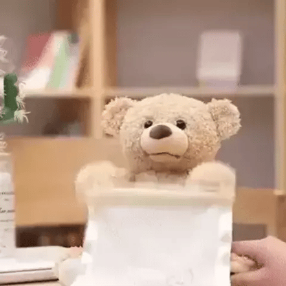 Más que un Peluche, una Experiencia Única con Nuestro Oso Sorpresa