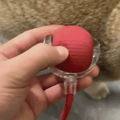 Estimula, Divierte y Ejercita a Tu Mascota con Esta Pelota Inteligente