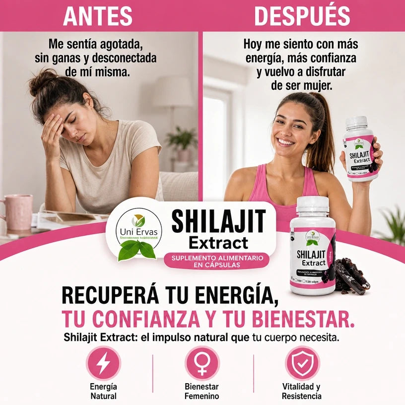 Encabezado