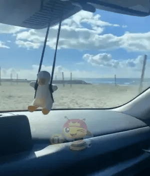 Conoce al Compañero de Viaje Más Estiloso: ¡Tu Nuevo Accesorio Favorito!