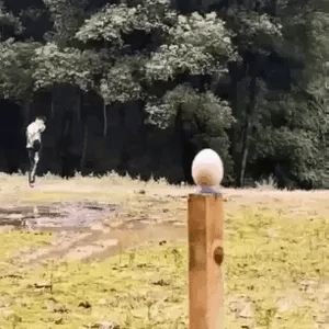 ¡Apunta con Precisión Total! La Resortera con Láser que Revoluciona tu Puntería