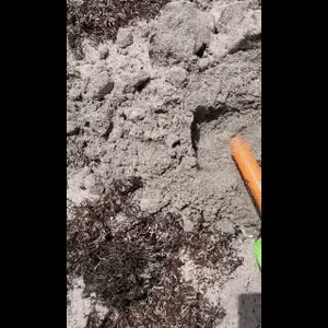 ¡Descubre Tesoros! Detector + Soporte Giratorio Gratis