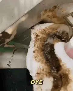 ¡Deshazte del óxido y recupera el brillo de tus utensilios en minutos!