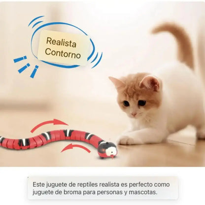 ¡La Serpiente que Entretiene y Mantendrá a tu Gato fascinado por Horas!