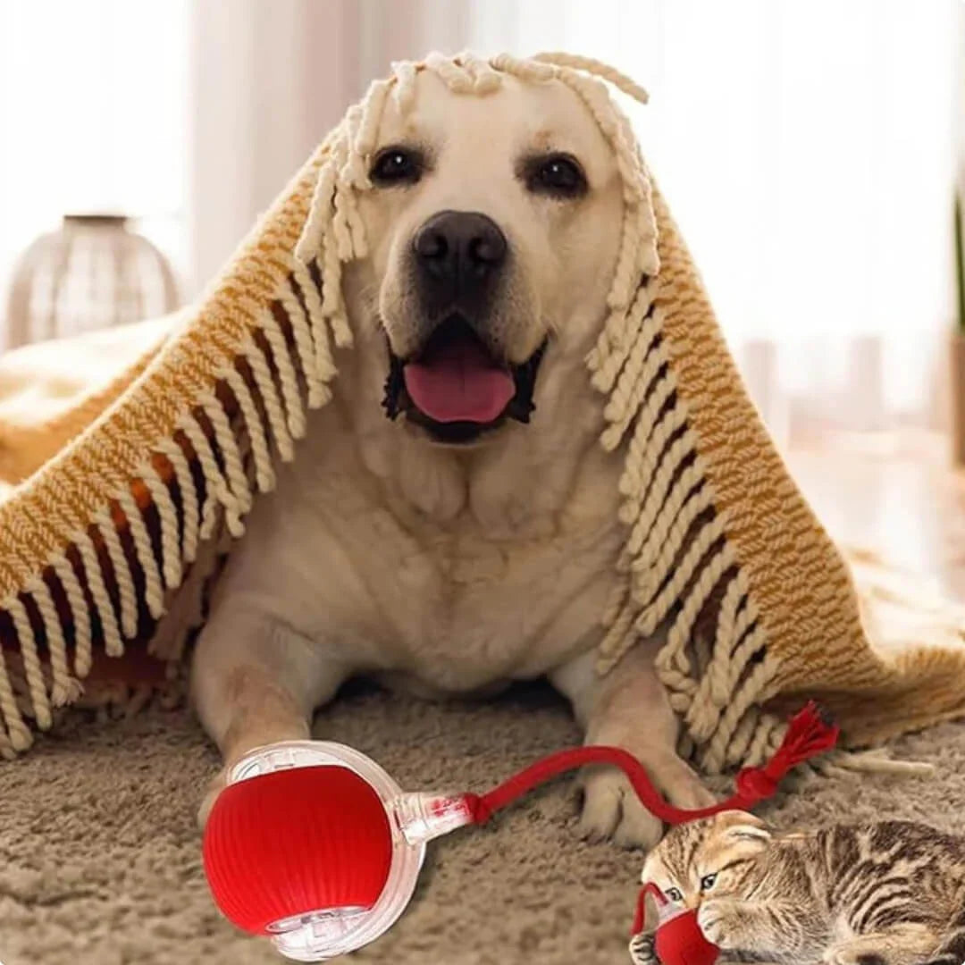 Estimula, Divierte y Ejercita a Tu Mascota con Esta Pelota Inteligente