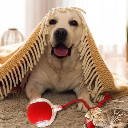 Estimula, Divierte y Ejercita a Tu Mascota con Esta Pelota Inteligente