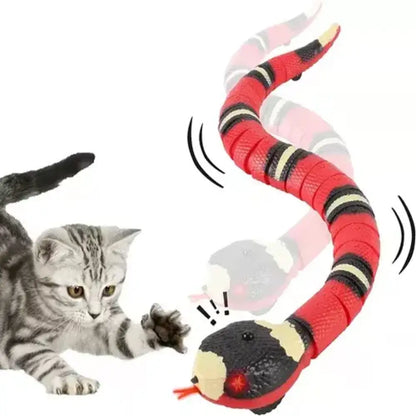 ¡La Serpiente que Entretiene y Mantendrá a tu Gato fascinado por Horas!
