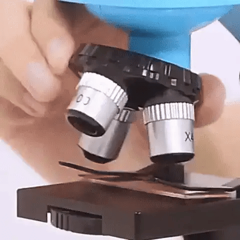 Descubre El Mundo Invisible: Microscopio Educativo Para Niños