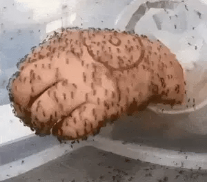 Di Adiós a los Mosquitos con la Nueva Lámpara UV: Protección Garantizada