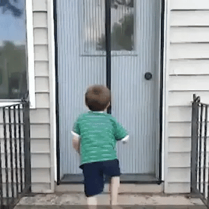 Tranquilidad en tu Hogar: Cortinas Anti Mosquitos