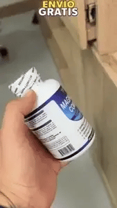 Encabezado