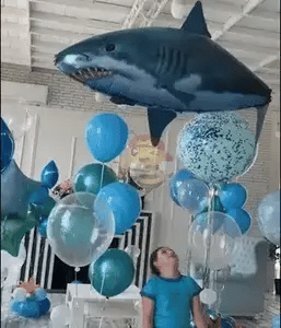 Tiburón Gigante: Tu Compañero de Juegos Acuáticos